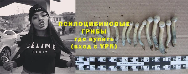 гашик Армянск