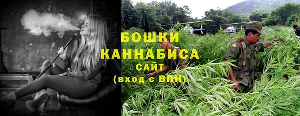 ПСИЛОЦИБИНОВЫЕ ГРИБЫ Аркадак