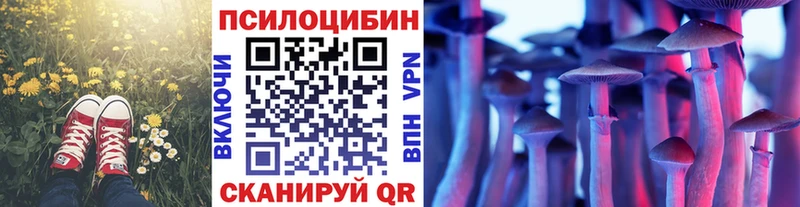 Галлюциногенные грибы Psilocybine cubensis  Кукмор 